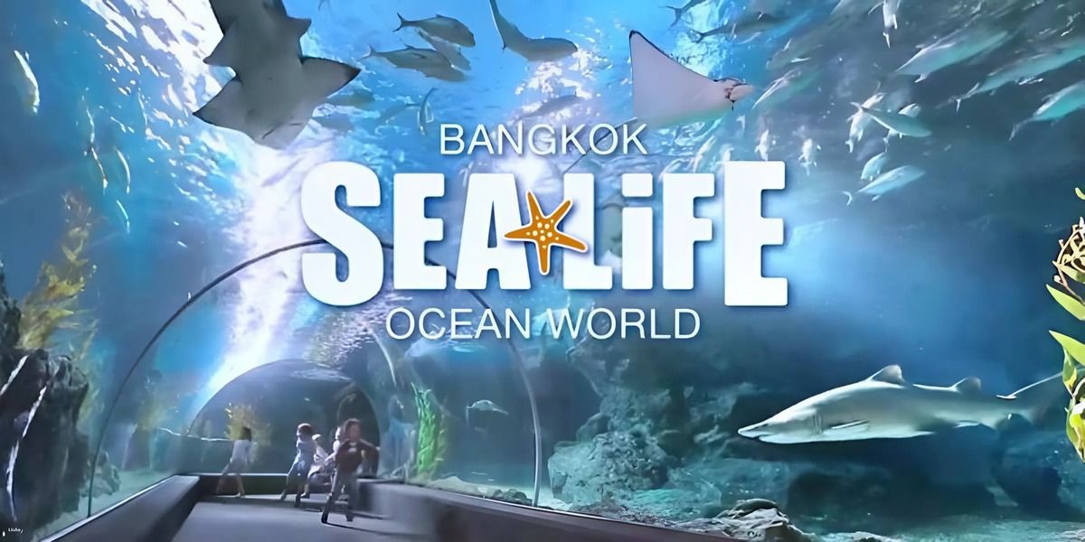 Sea Life Bangkok Ocean World – Trải nghiệm thủy cung "có một không hai"