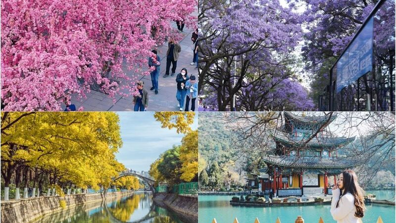 Côn Minh Trung Quốc: Cửa ngõ của vùng đất Vân Nam huyền bí