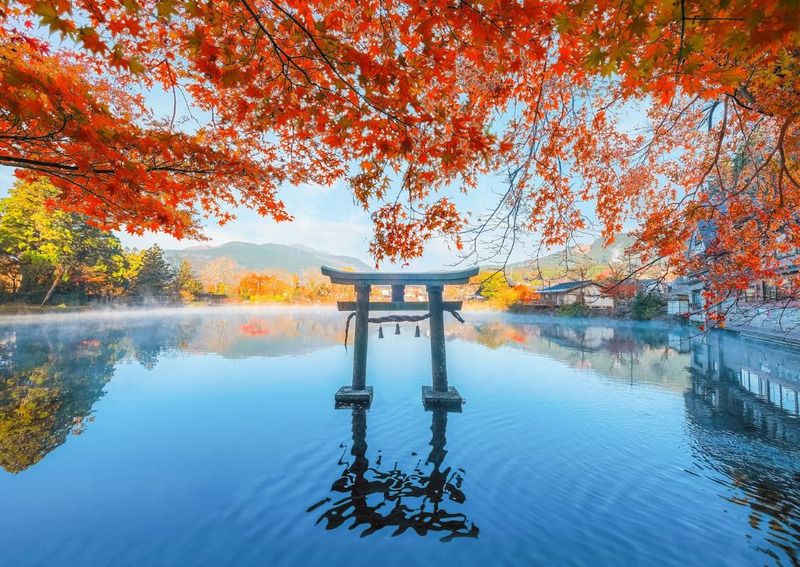 Mùa thu Nhật Bản: Chiêm ngưỡng vẻ đẹp lá đỏ Momiji lãng mạn