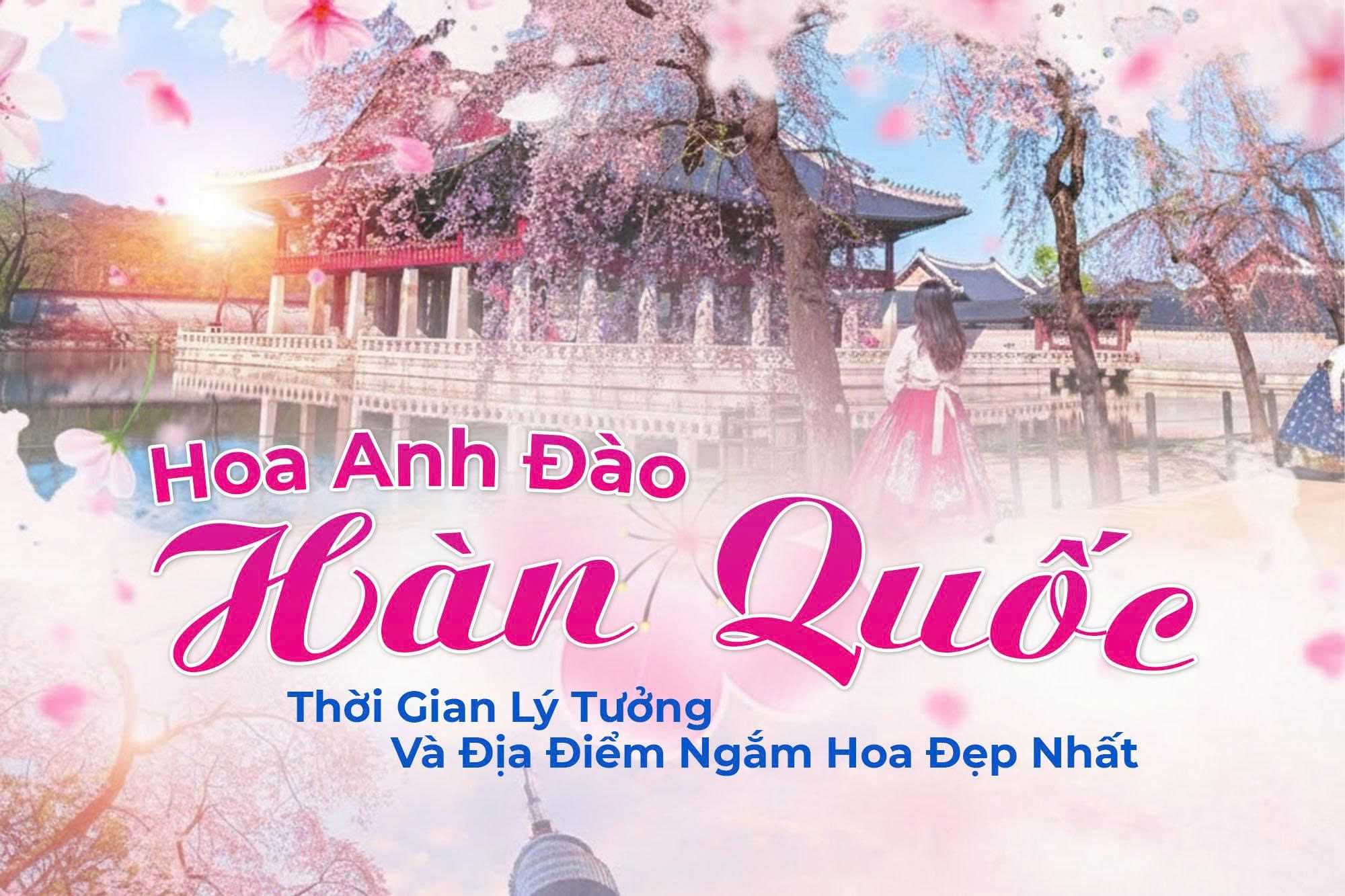Hoa Anh Đào Hàn Quốc: Thời Gian Lý Tưởng Và Địa Điểm Ngắm Hoa Đẹp Nhất