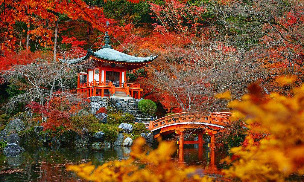 Tour Nhật Bản Mùa Lá Đỏ: Ngắm Cảnh Thu Lãng Mạn Tại Đất Nước Mặt Trời Mọc