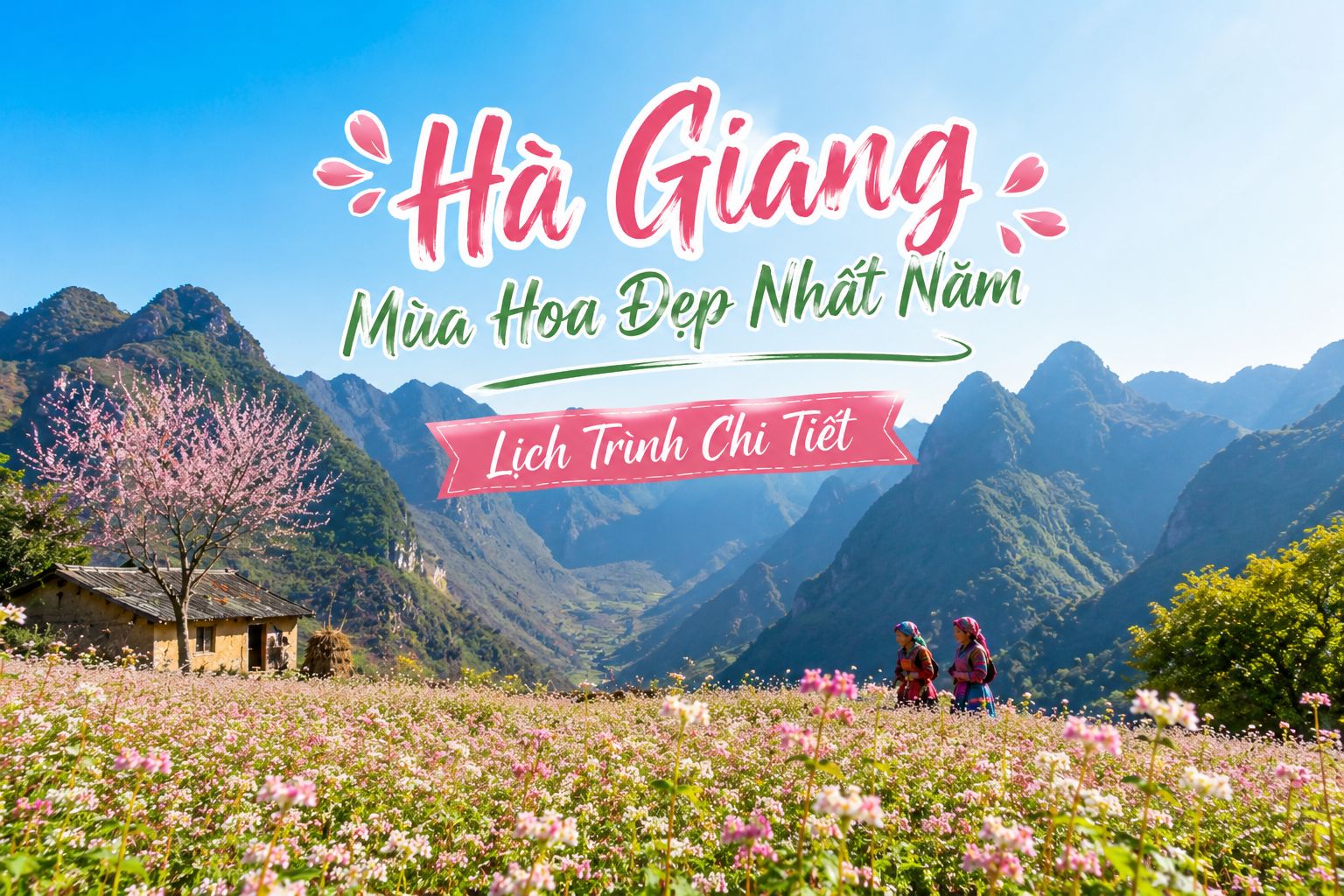 Hà Giang Mùa Hoa Đẹp Nhất Năm Lịch Trình Chi Tiết 2026
