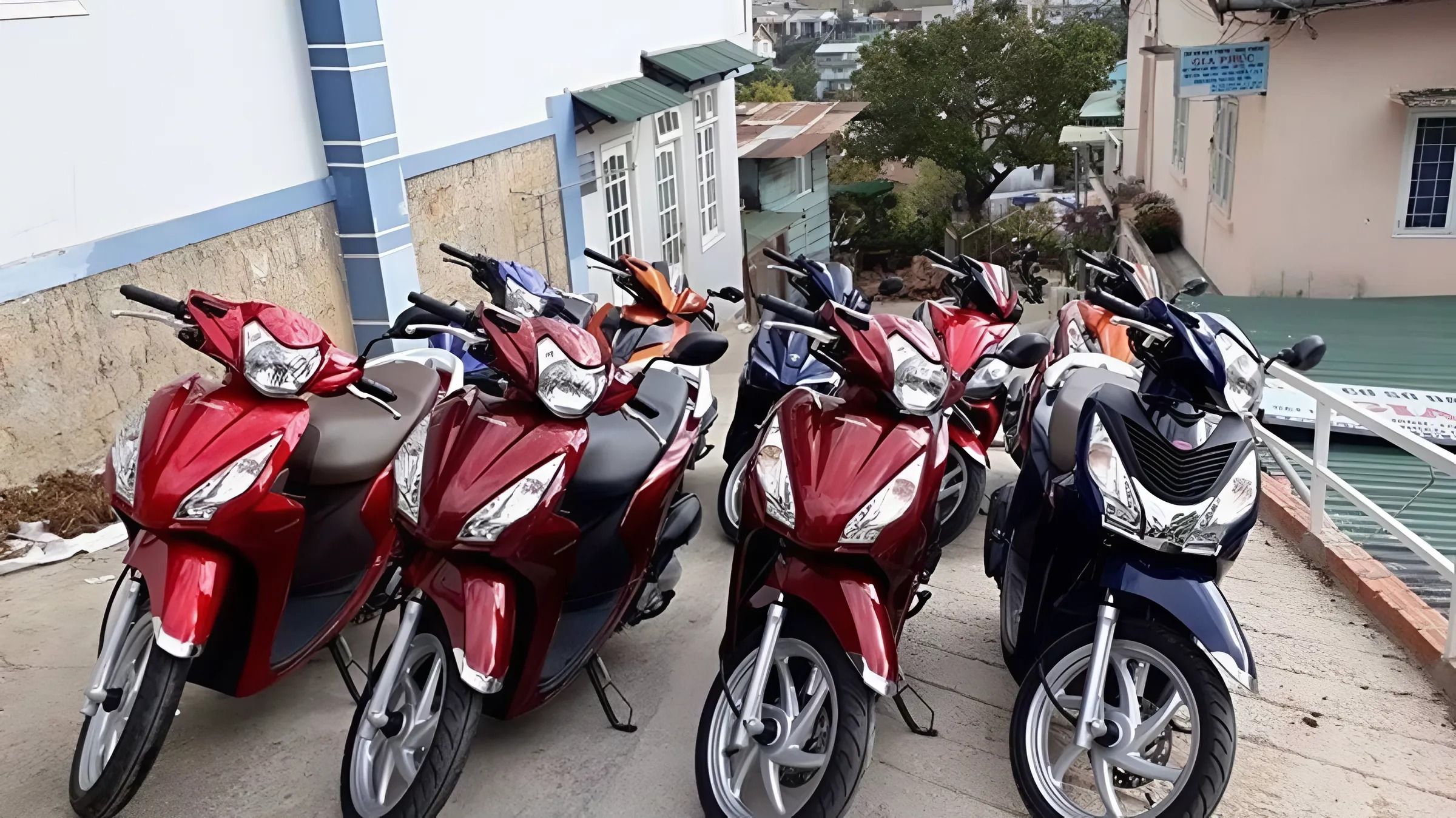 Minh Thành Motorbike Rentals – Uy tín từ sự chuyên nghiệp