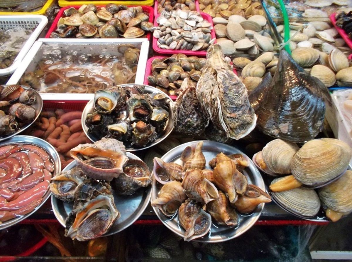 Hải sản tươi sống – Món ngon đặc trưng của phố đi bộ Hạ Long