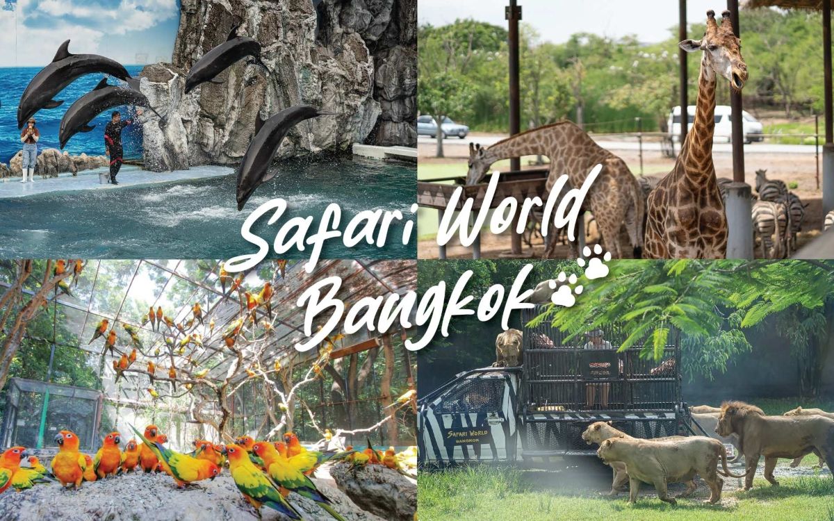 Tổng quan về Safari World