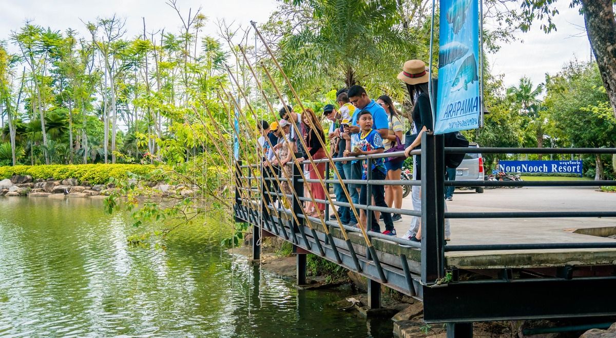 Cho cá Arapaima và hươu ăn – Trải nghiệm gần gũi thiên nhiên