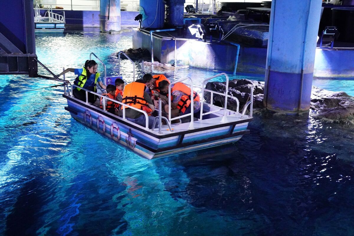 Glass Bottom Boat