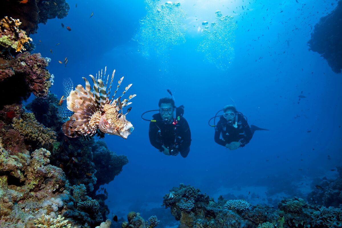 Trải nghiệm lặn biển và snorkeling