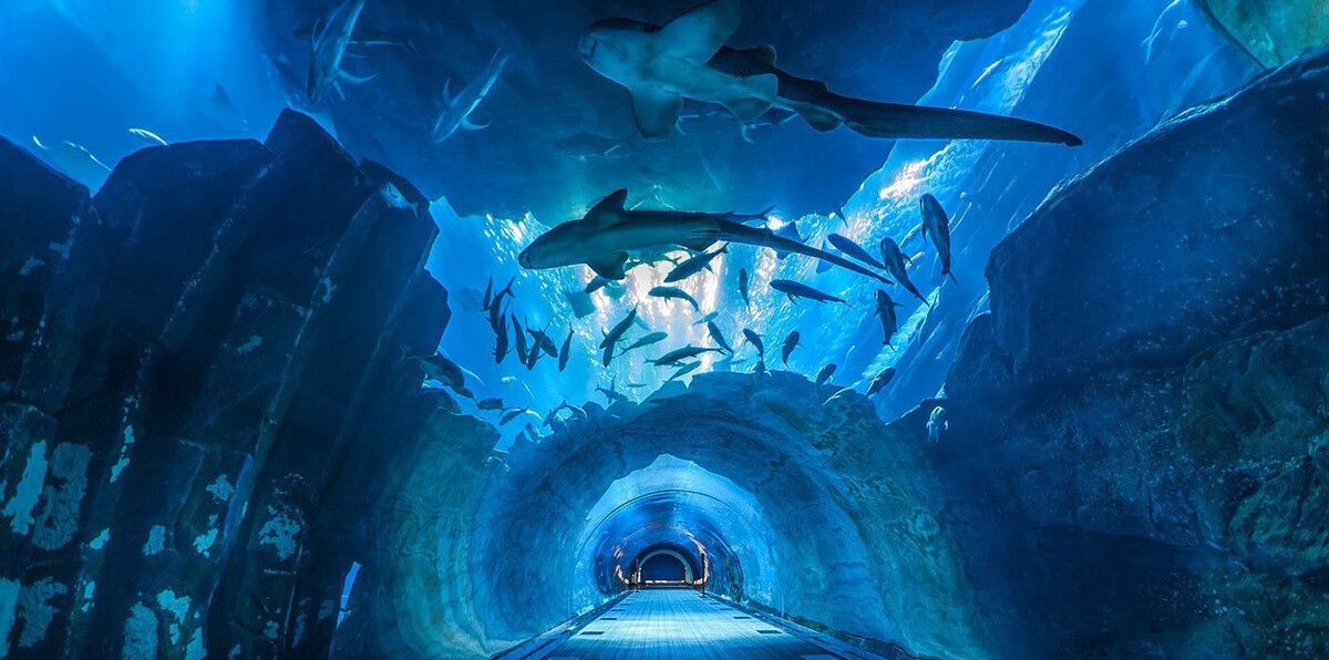 Ocean Tunnel