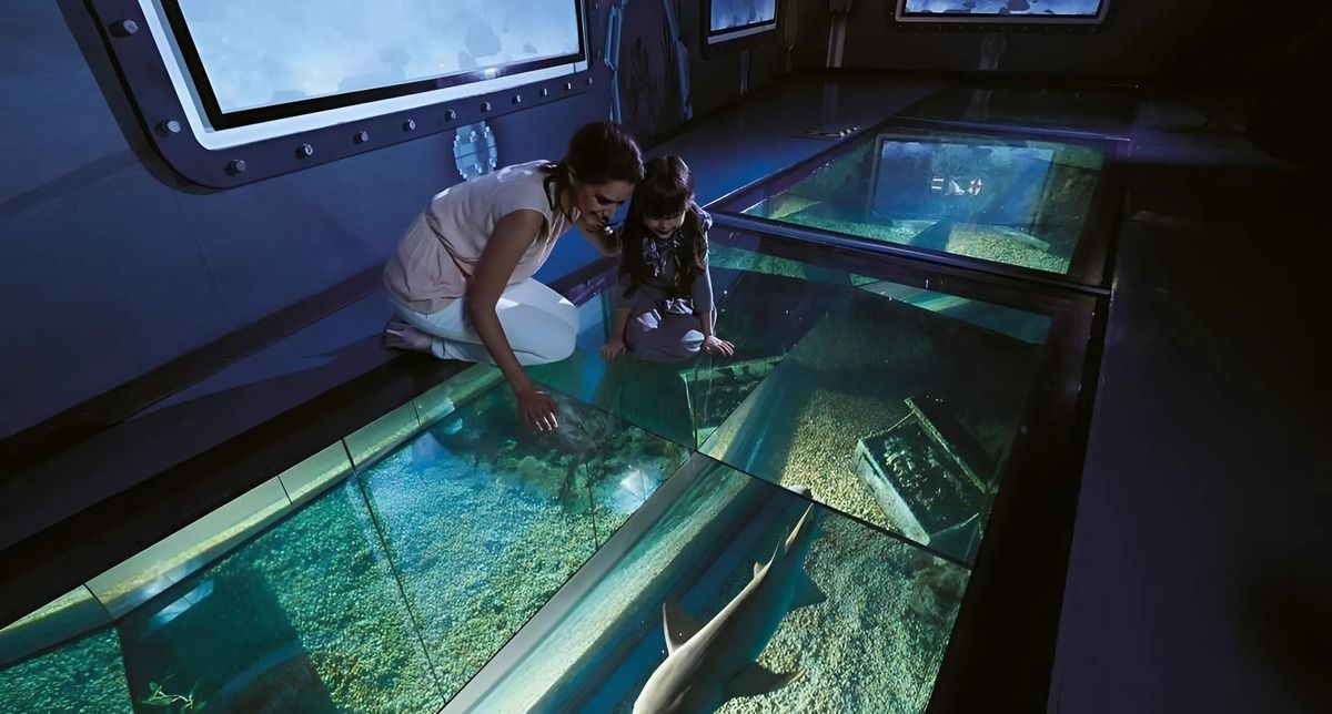 Shark Walk