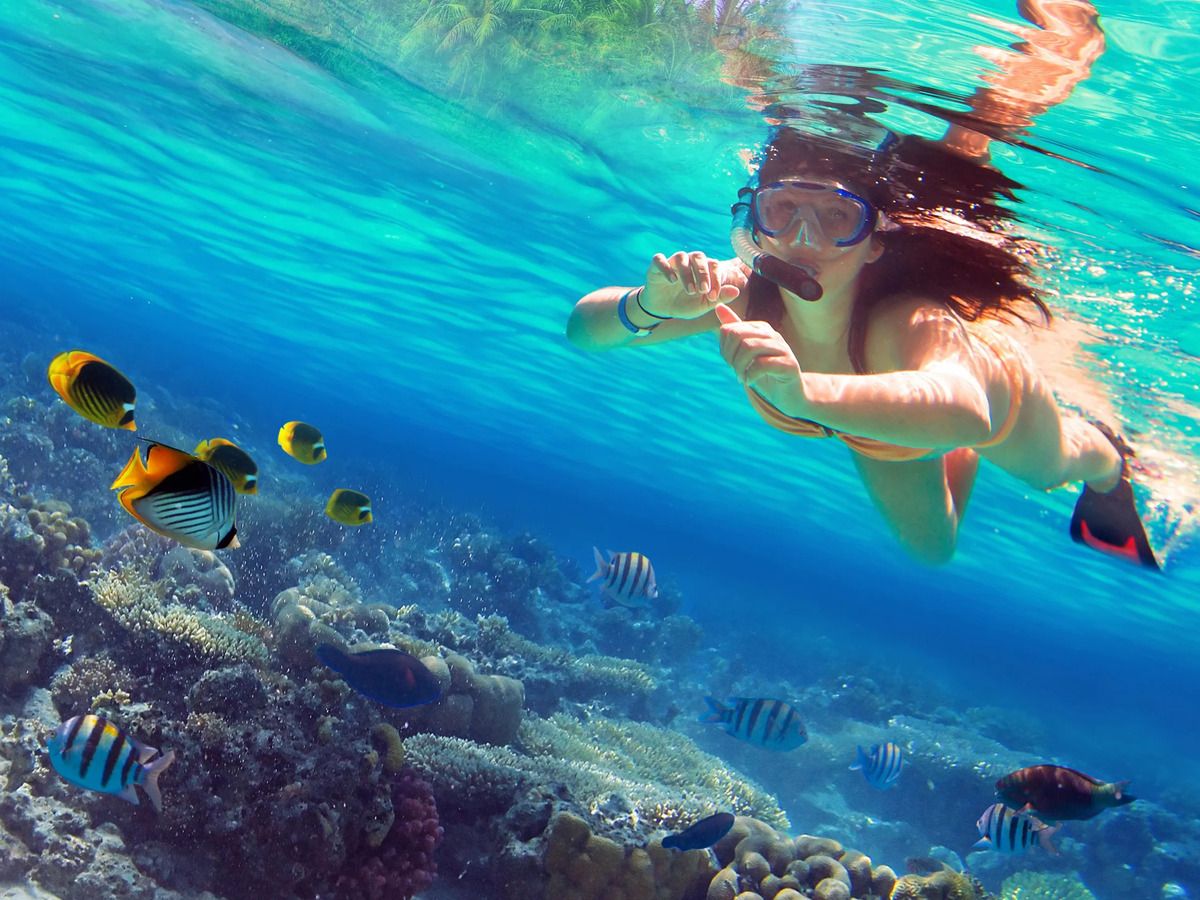 Trải nghiệm lặn biển và snorkeling