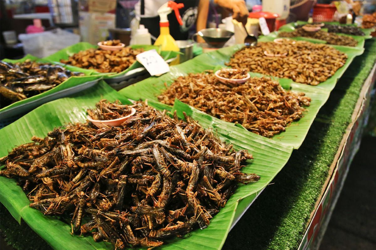 Côn trùng chiên Pattaya