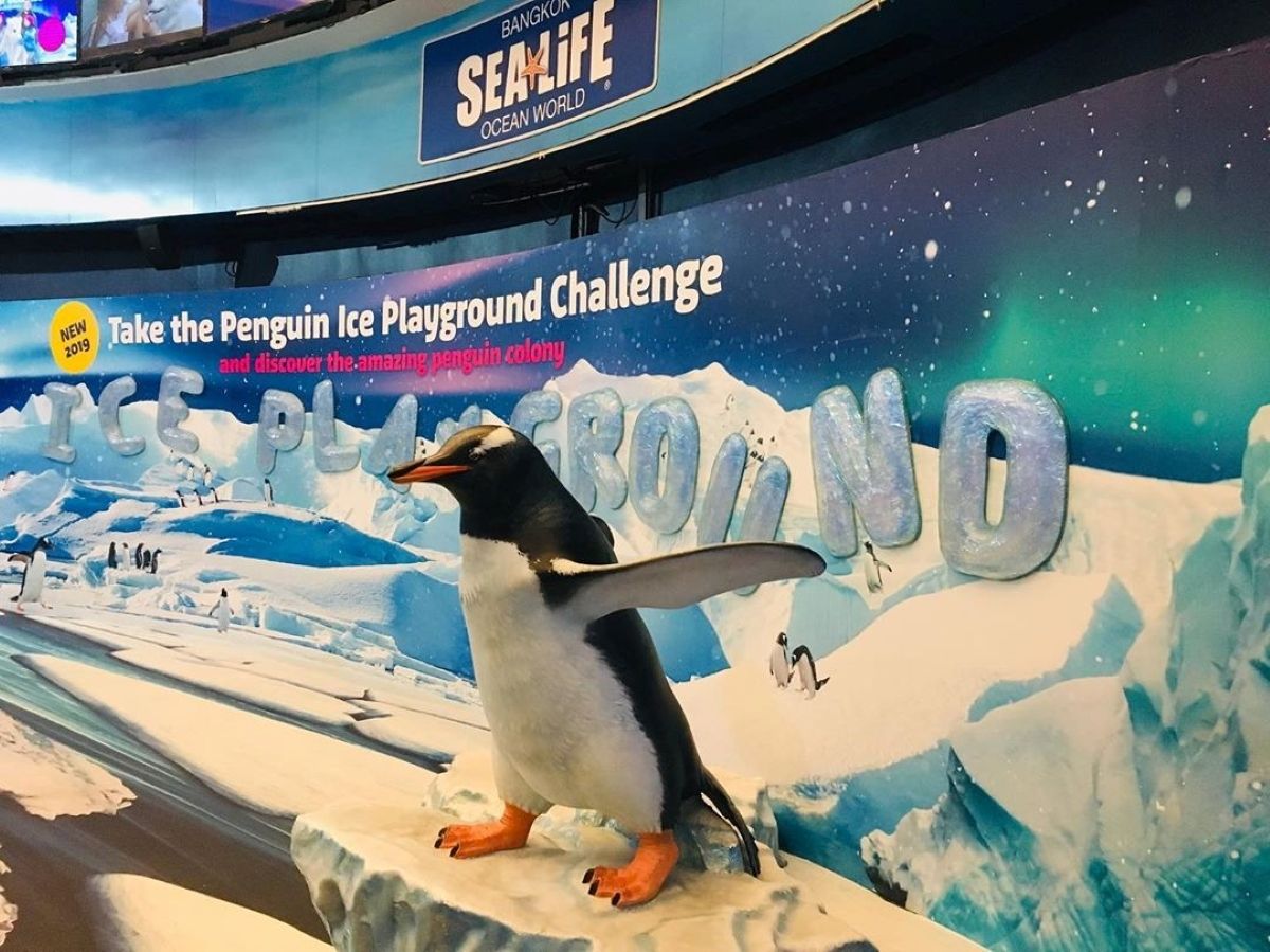 Penguin Ice Playground