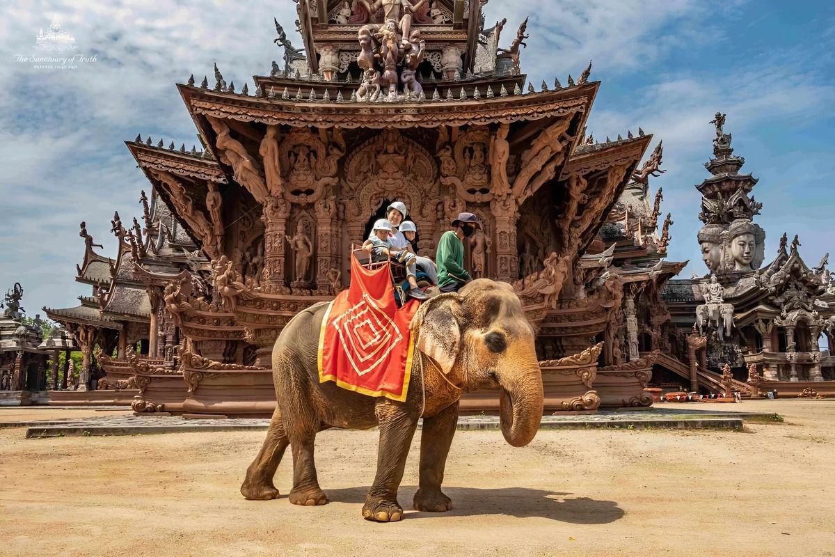 Cưỡi voi – Elephant Ride