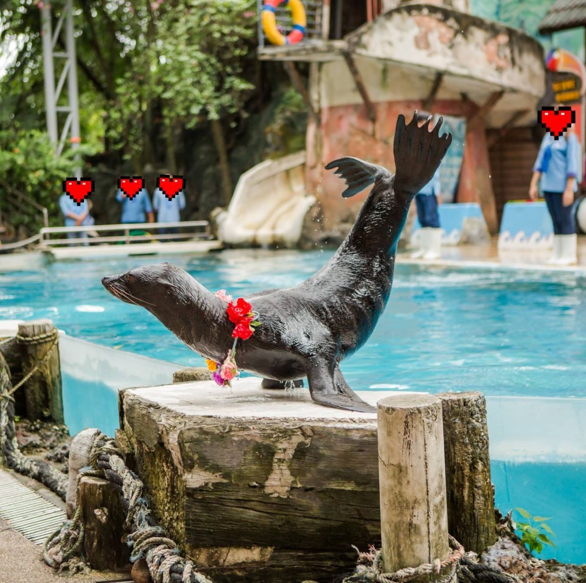 Marine Safari