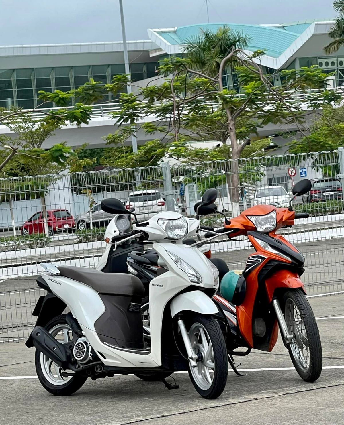 Sông Hàn mang đến đa dạng sự lựa chọn 