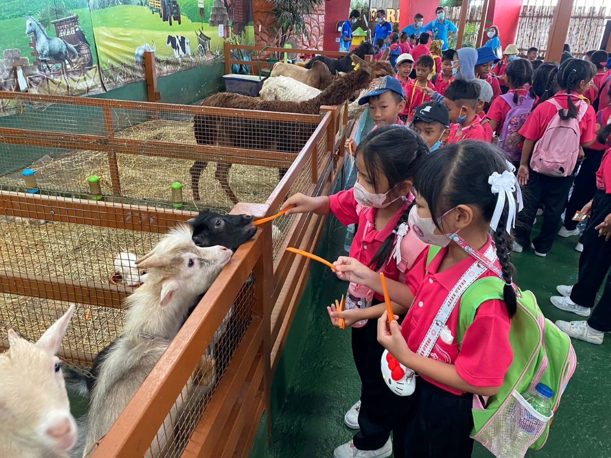 Khu tiếp xúc động vật (Petting Zoo)