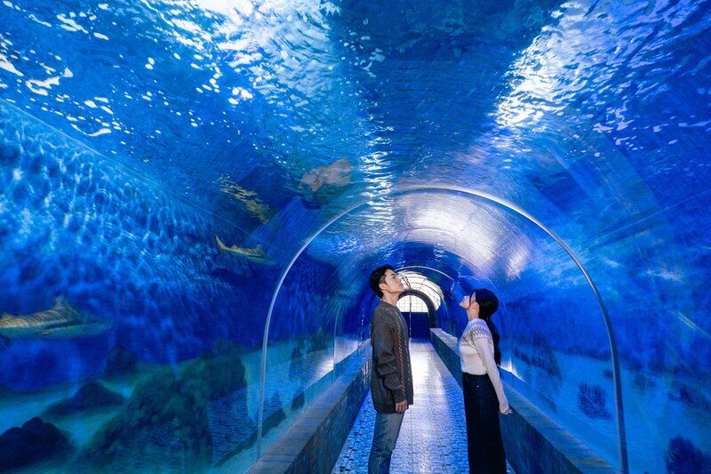 Giới thiệu Viện Hải dương học Nha Trang