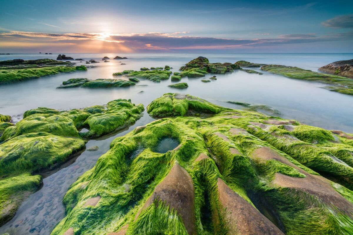 Bãi biển Nam Ô Đà Nẵng