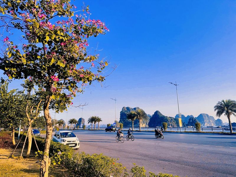 Vị trí và đường đi tới công viên