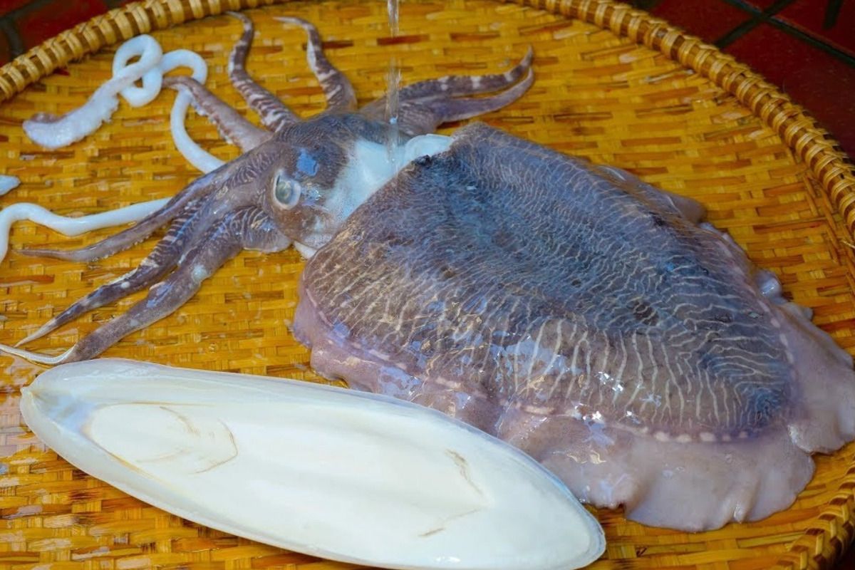 Nguyên liệu tươi ngon, chất lượng