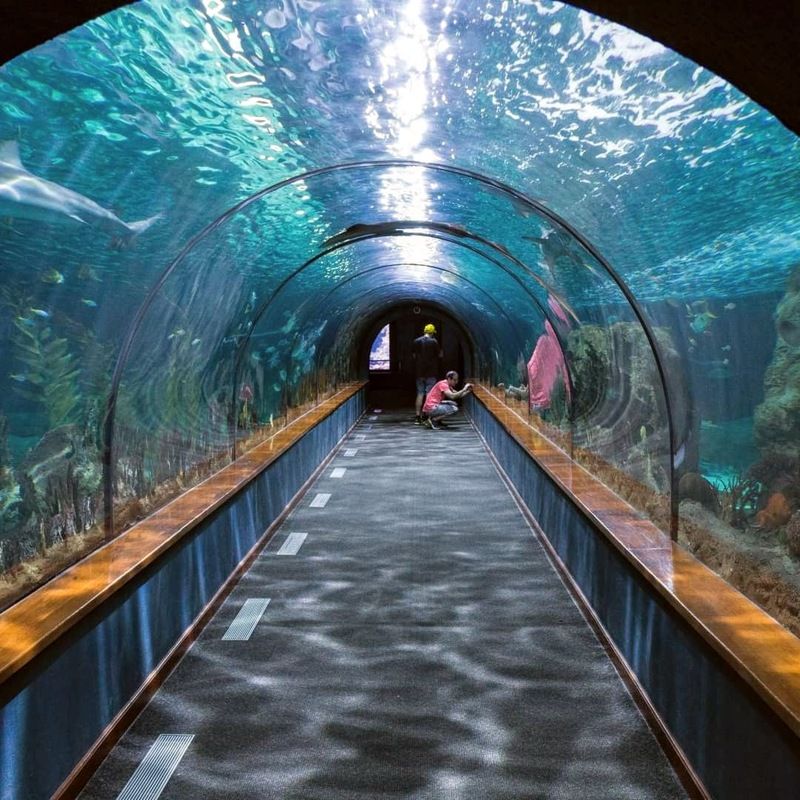 Giới thiệu Viện Hải dương học Nha Trang