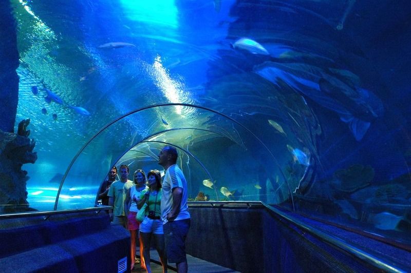 Đường đi đến Viện Hải dương học Nha Trang