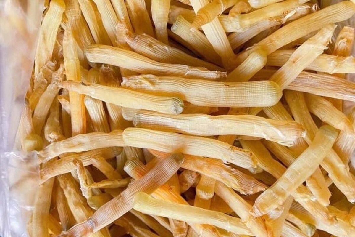 Sá sùng