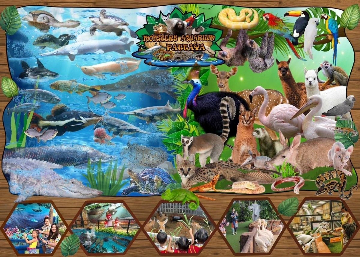 Tổng quan về Monster Aquarium Pattaya