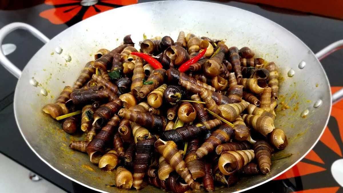 Ốc hút Đà Nẵng