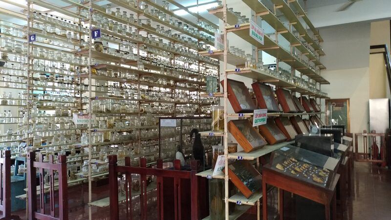 Khám phá thế giới mẫu vật quý hiếm