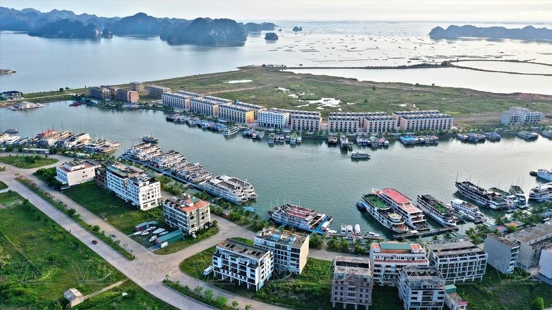 Vì sao đảo Tuần Châu hấp dẫn du khách đến vậy?