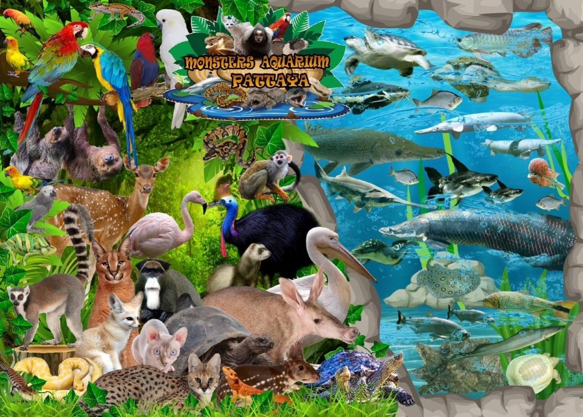 Lưu ý khi đến vui chơi tại Monster Aquarium Pattaya
