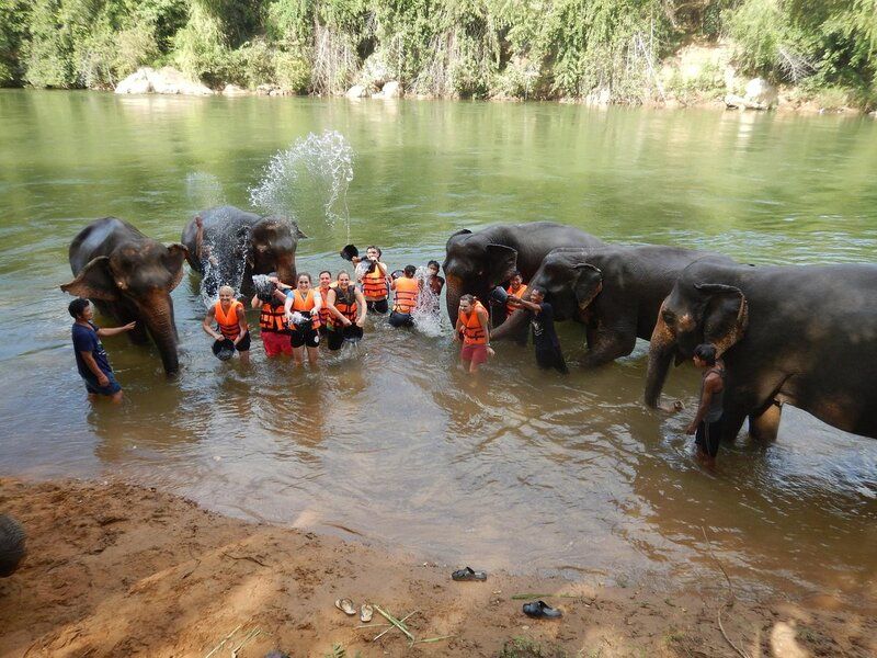 Elephant Nature Park