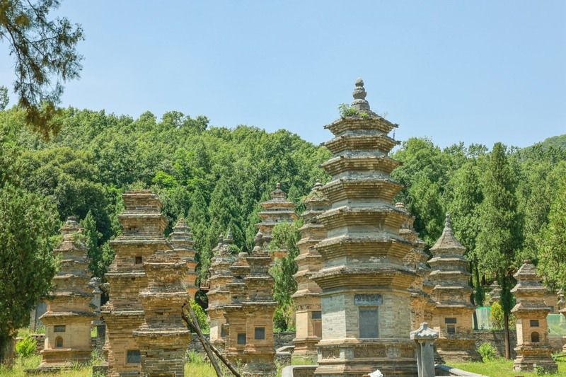 Rừng tháp Thiếu Lâm Tự