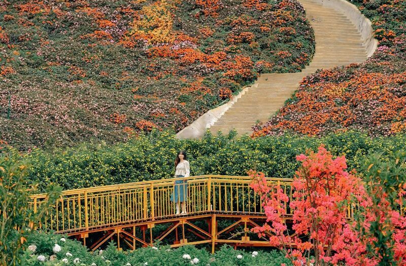 Nông trại cún – Puppy Farm Đà Lạt