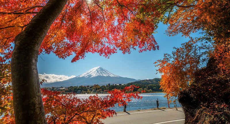 Nikko và Fuji – Khi thiên nhiên và linh thiêng hòa quyện