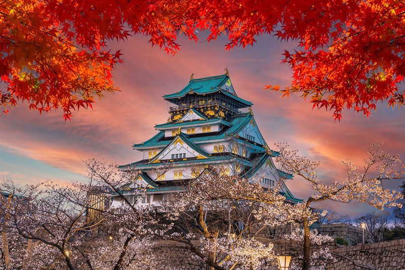 Tour image