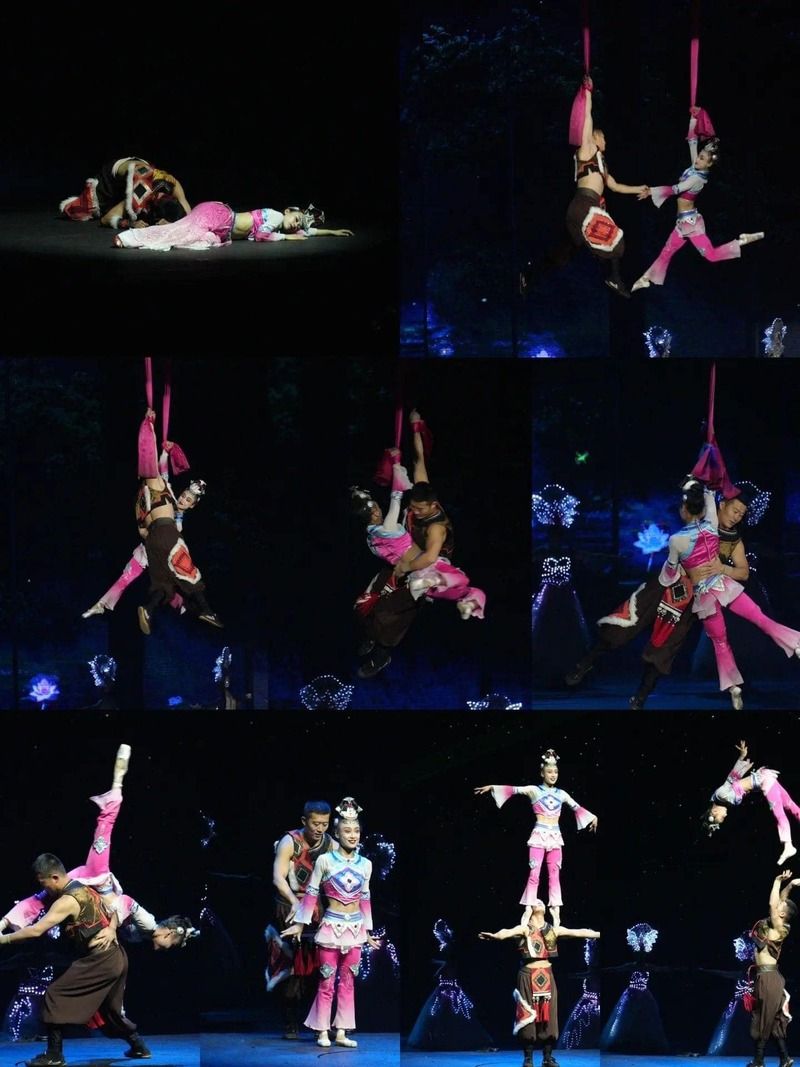 Các phần biểu diễn nổi bật