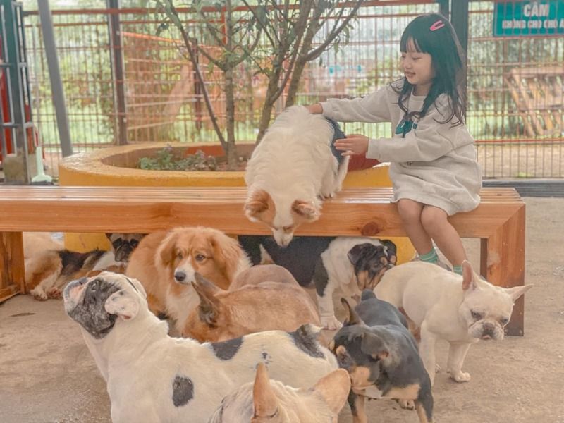 Nông trại cún – Puppy Farm Đà Lạt