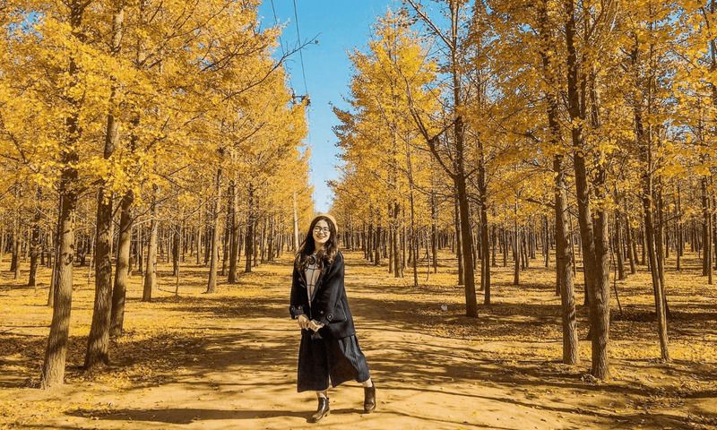 Tháng 11 - Mùa thu muộn