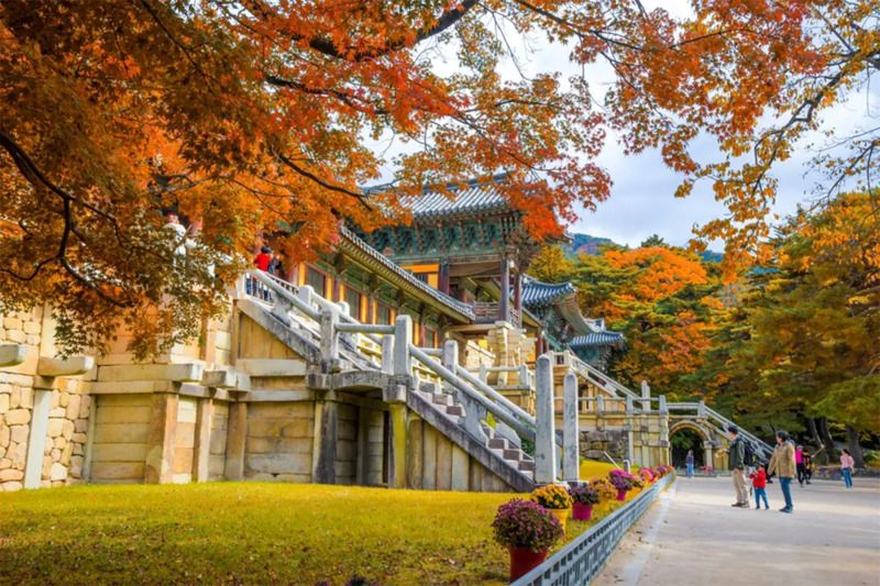 Gyeongju – Thành phố lịch sử đẹp như tranh