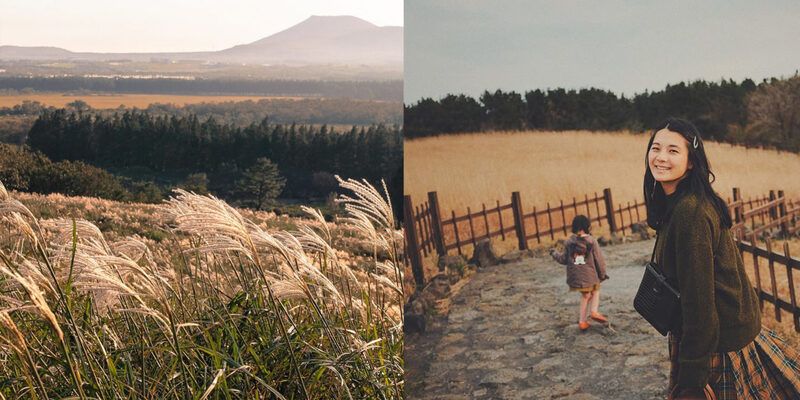 Jeju – Hòn đảo lãng mạn mùa lá vàng