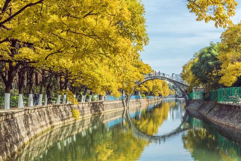 Mùa thu (tháng 9 – 11): Trời trong, lá đổi màu rực rỡ