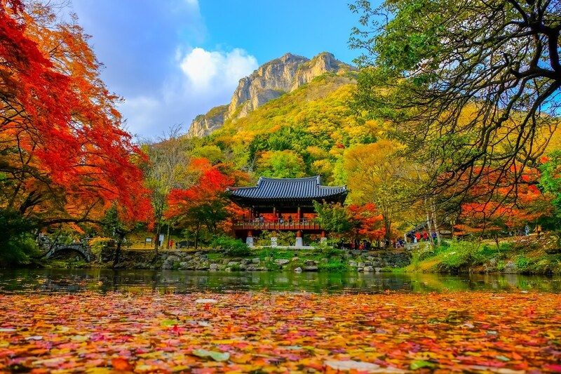 Seoul – Vẻ đẹp cổ kính giữa lòng hiện đại