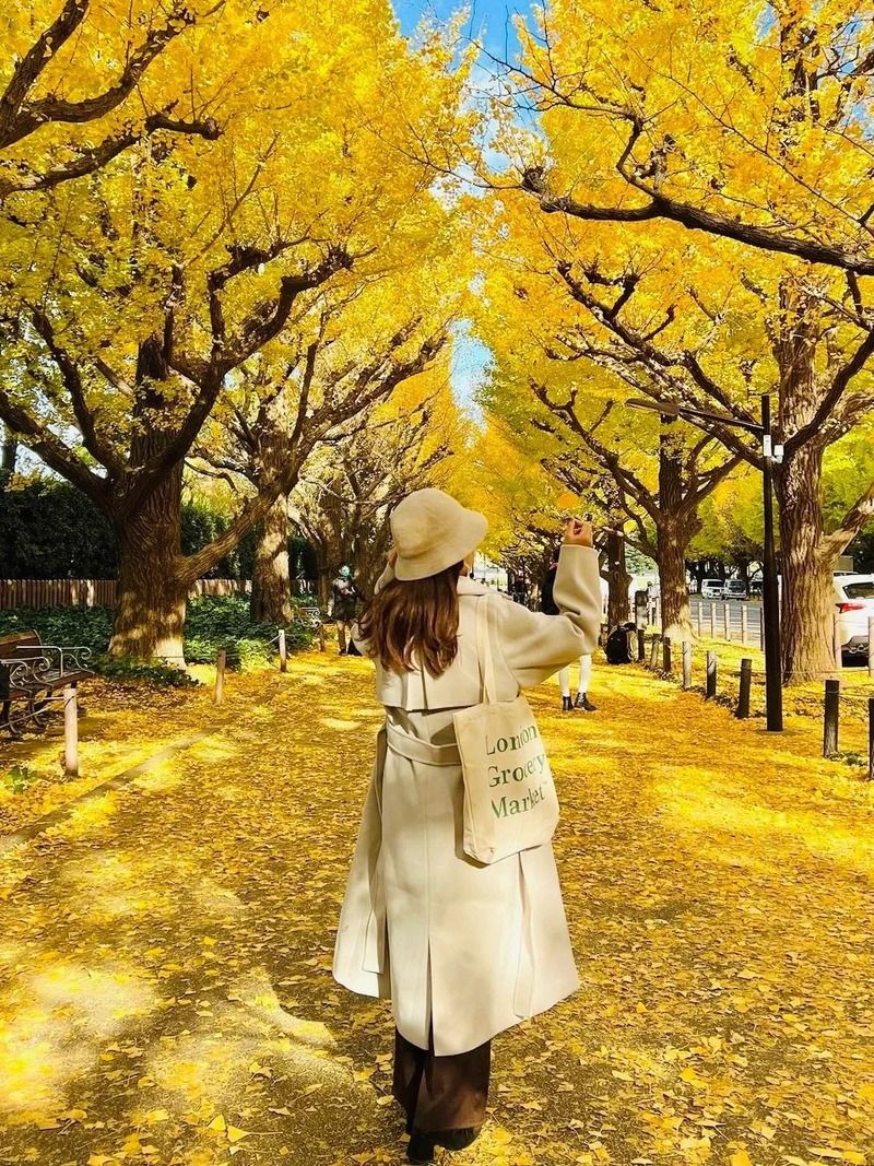 Đại lộ Icho Namiki