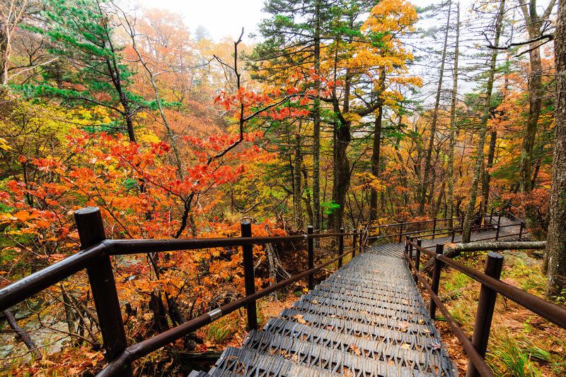 Công viên Quốc gia Seoraksan