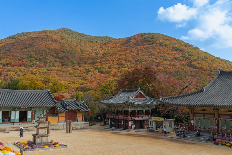 Busan – Biển xanh hòa sắc thu