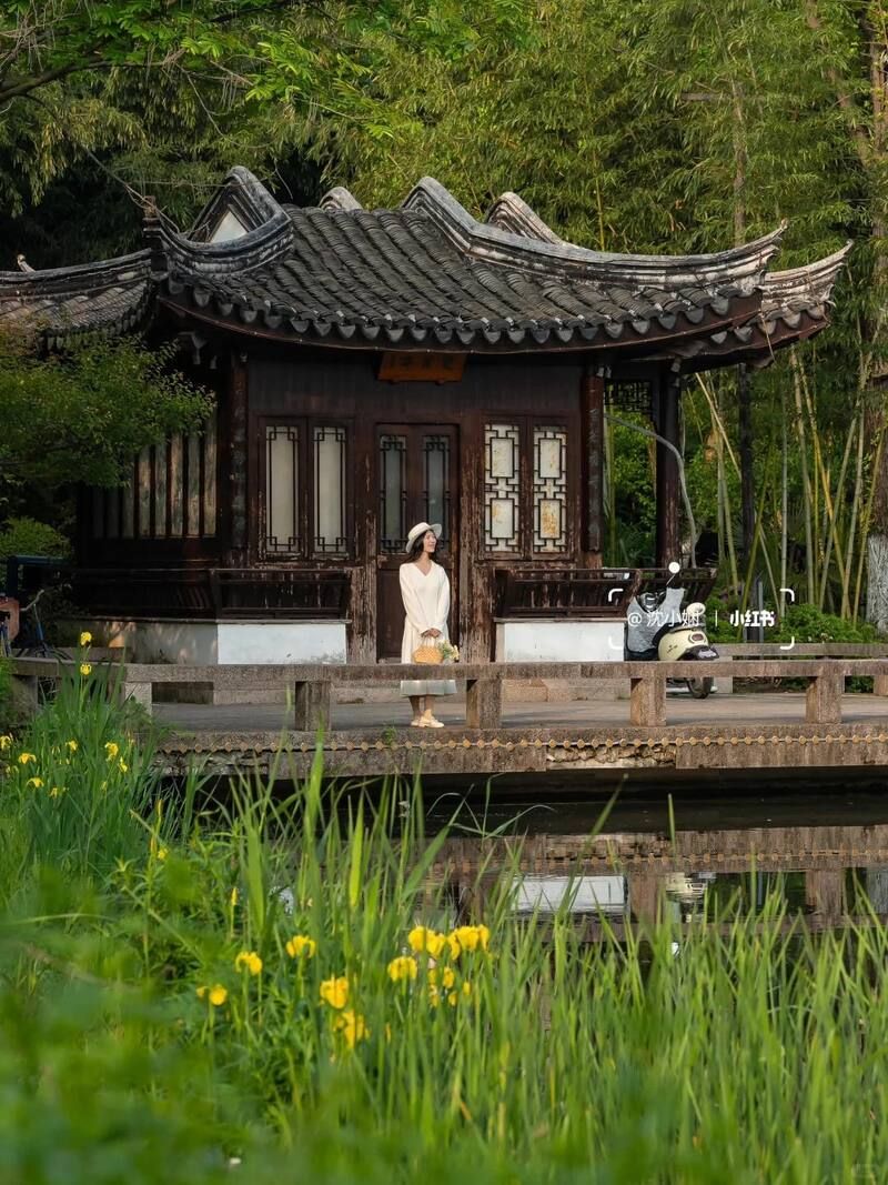 Đầm lầy Thanh Sơn