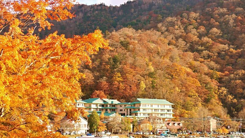 Nikko và Fuji – Khi thiên nhiên và linh thiêng hòa quyện